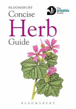 Concise Herb Guide - Bloomsbury