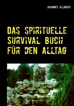 Das spirituelle Survival Buch für den Alltag - Allgäuer, Johannes