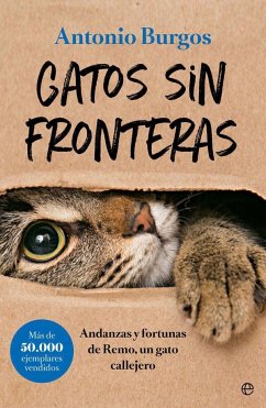 Gatos sin fronteras : andanzas y fortunas de Remo, un gato callejero - Burgos Herce, Antonio