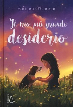 Cover Il mio più grande desiderio