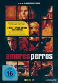 Amores Perros, 1 DVD (Special Edition)