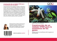 Construcción de un módulo STEM para la enseñanza de los gases