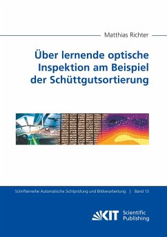 Über lernende optische Inspektion am Beispiel der Schüttgutsortierung - Richter, Matthias