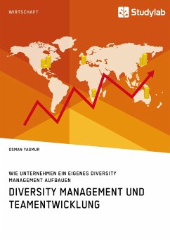 Diversity Management und Teamentwicklung. Wie Unternehmen ein eigenes Diversity Management aufbauen - Yagmur, Osman