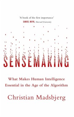 Sensemaking - Madsbjerg, Christian