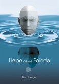 Liebe deine Feinde (eBook, ePUB)