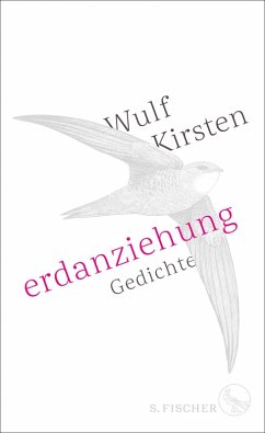 Erdanziehung (eBook, ePUB) - Kirsten, Wulf