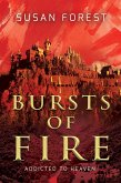 Bursts of Fire (Addicted to Heaven) (eBook, ePUB)