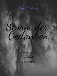 Sturm der Gedanken (eBook, ePUB)