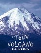 Stony Volcano (eBook, ePUB) - Bild 1