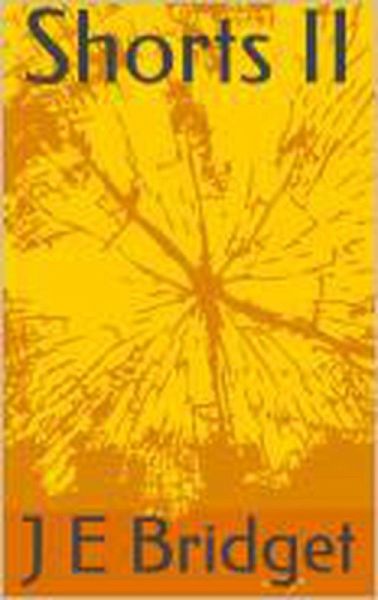 Shorts II (eBook, ePUB)