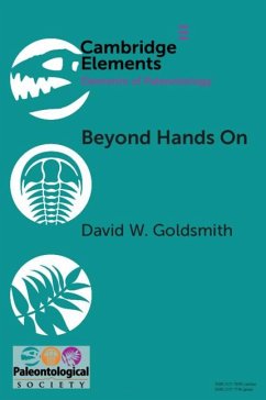 Beyond Hands On - Goldsmith, David W.