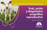Evaluación y diagnóstico ecográfico reproductivo