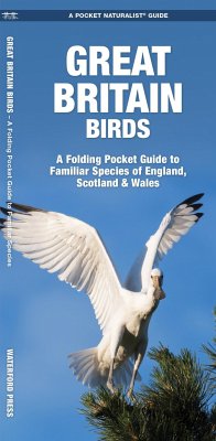 Great Britain Birds - Kavanagh, James