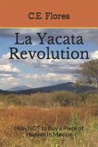 La Yacata Revolution: How NOT to Buy a Piece of Heaven in Mexico