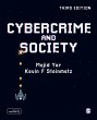 Cybercrime and Society - Bild 1