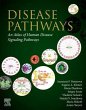 Disease Pathways - Bild 1