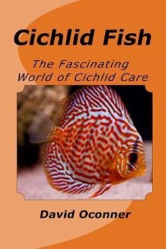 Cichlid Fish - Oconner, David