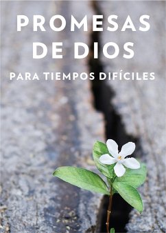 Promesas de Dios Para Tiempos Difíciles / God S Promises When You Are Hurting - Countryman, Jack