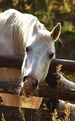 Kids Petite Equine Journal - Wunderlich, Jordan