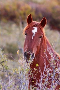 Kids Equine Journal - Wunderlich, Jordan