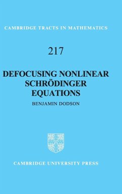 Defocusing Nonlinear Schrödinger Equations - Dodson, Benjamin