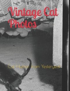 Vintage Cat Photos: Cat Humor from Yesteryear - Bulletin LLC, Learning Specialist