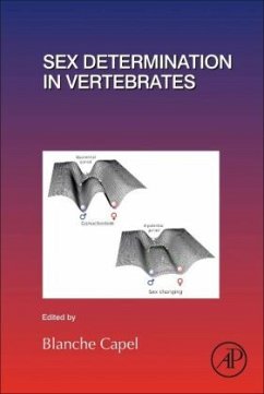 Sex Determination in Vertebrates