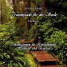 Traumpfade für die Seele (MP3-Download) - Bild 1