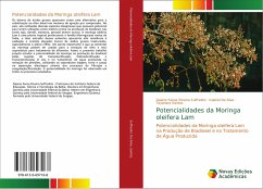 Potencialidades da Moringa oleifera Lam