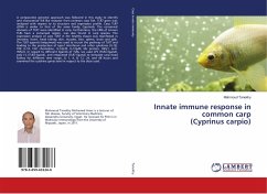 Innate immune response in common carp (Cyprinus carpio)