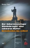 Der Schornsteinfeger Glücksbringer oder schwarze Mafia?