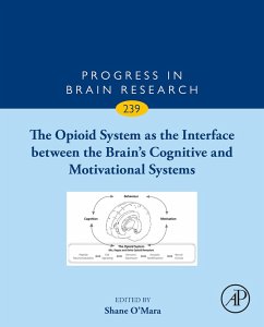 Cover The Opioid System as the Interface between the Brain's Cognitive and Motivational Systems (eBook, ePUB)