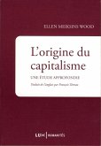 L'origine du capitalisme (eBook, ePUB)