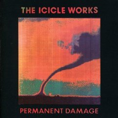 Permanent Damage - Icicle Works,The