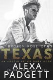 Broken Rose of Texas (An Austin After Dark Book, #2) (eBook, ePUB)