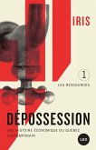 Depossession (eBook, ePUB)
