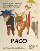 Paco (eBook, ePUB)