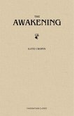 Awakening (eBook, ePUB)