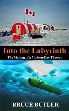 Cover Into the Labyrinth (eBook, ePUB)