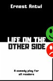 Life On The Other Side (eBook, ePUB)