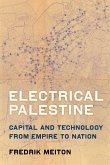 Electrical Palestine (eBook, ePUB)