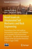 Novel Issues on Unsaturated Soil Mechanics and Rock Engineering (eBook, PDF)