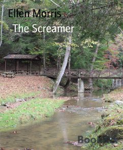 The Screamer (eBook, ePUB) - Morris, Ellen