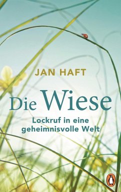Die Wiese (eBook, ePUB) - Haft, Jan