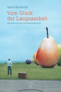 Vom Glück der Langsamkeit (eBook, ePUB) - Buchholz, Quint