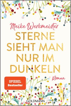 Sterne sieht man nur im Dunkeln (eBook, ePUB) - Werkmeister, Meike