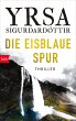 Die eisblaue Spur / Anwältin Dóra... - Bild 1