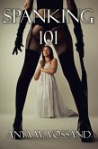 Spanking 101 (eBook, ePUB)