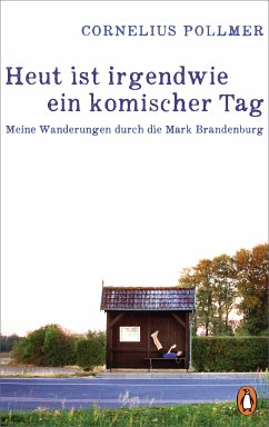 Heut ist irgendwie ein komischer Tag (eBook, ePUB) - Pollmer, Cornelius